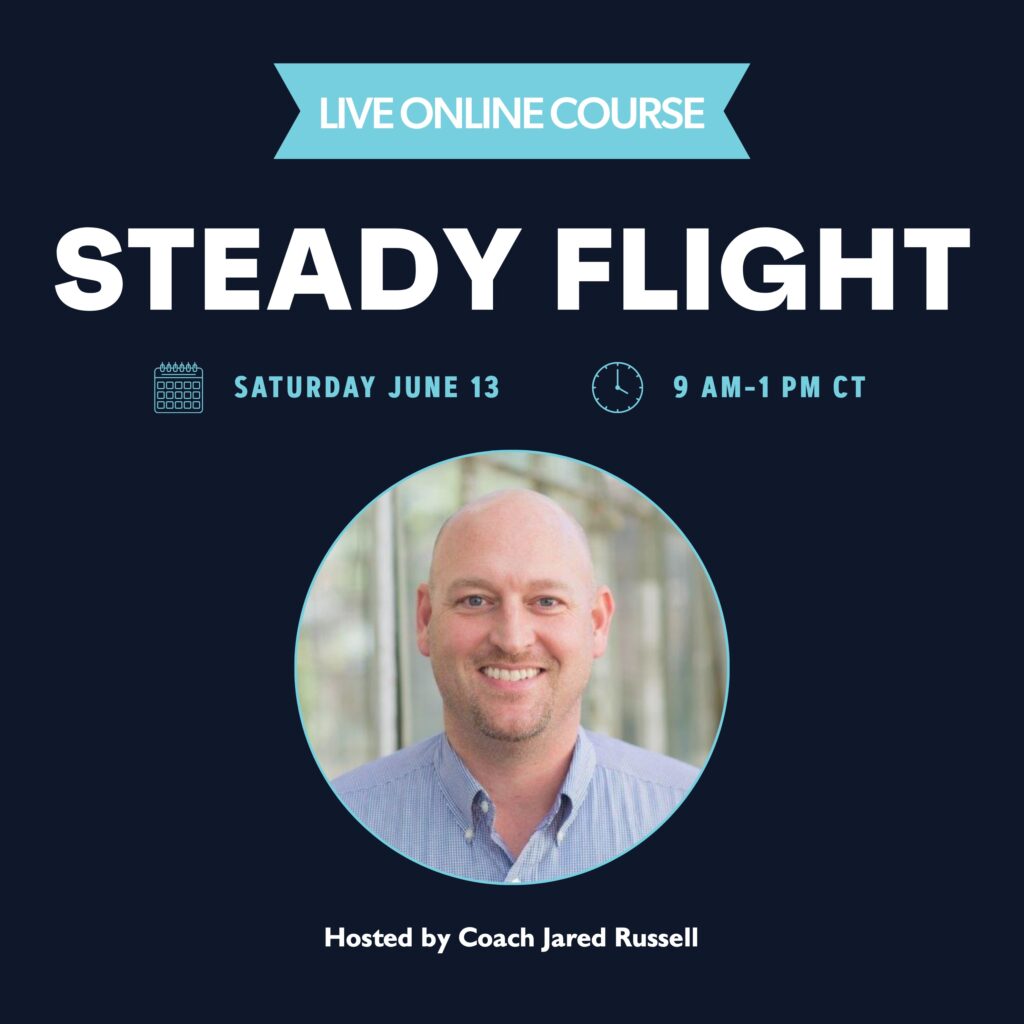 steady flight
